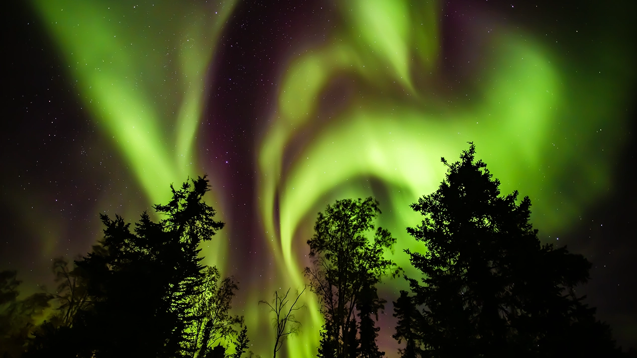 Aurora