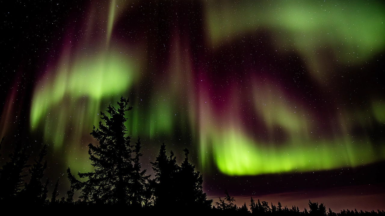 Aurora