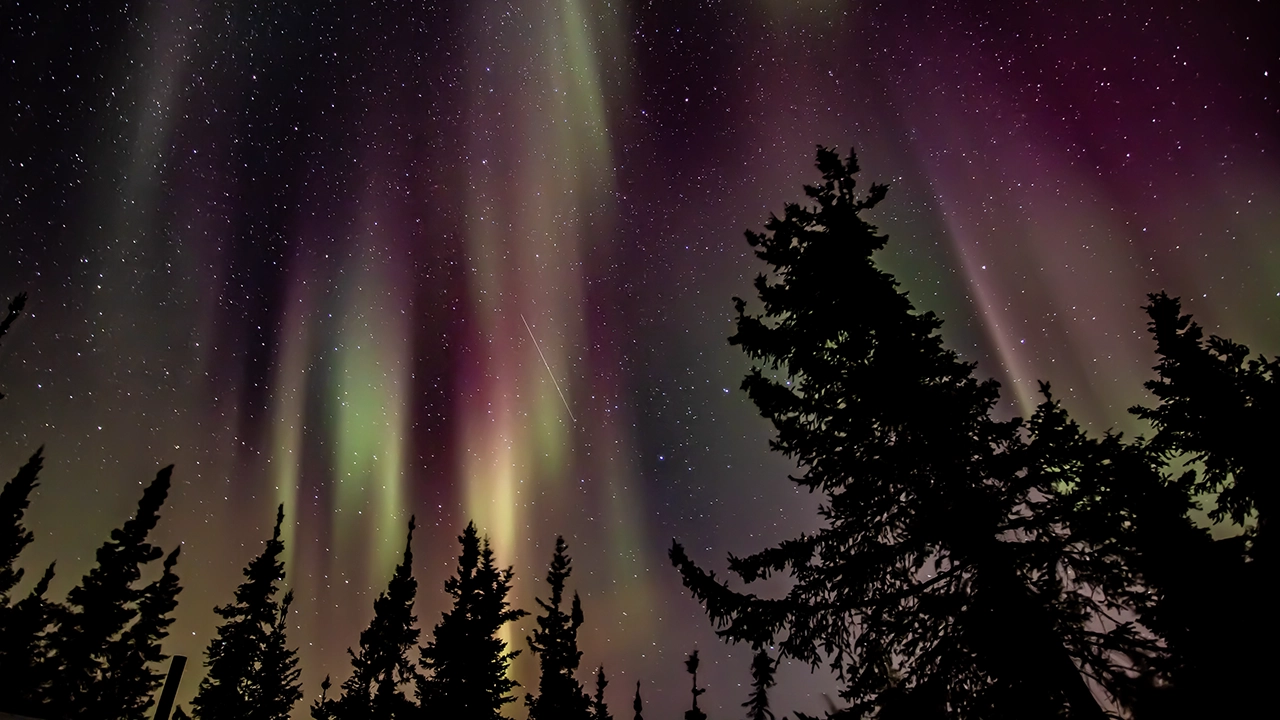 Aurora