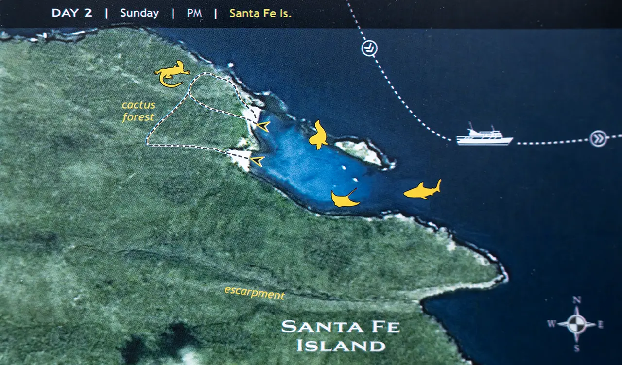 Isla Santa Fe