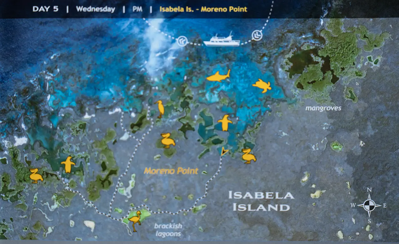 Isla Isabera