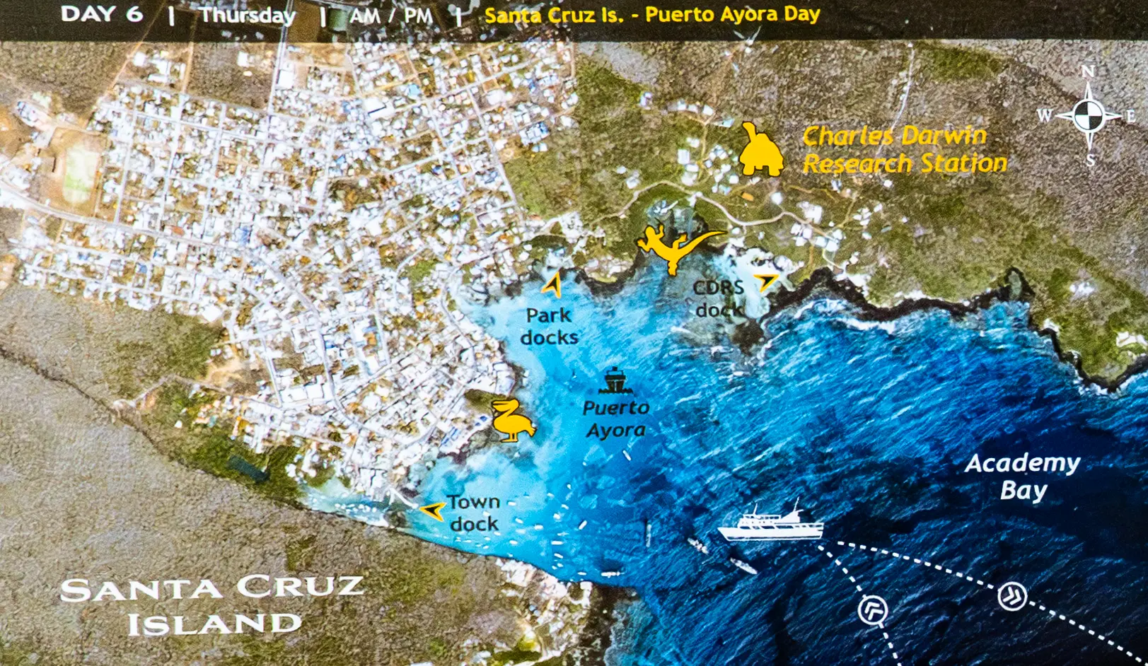 Isla Santa Cruz