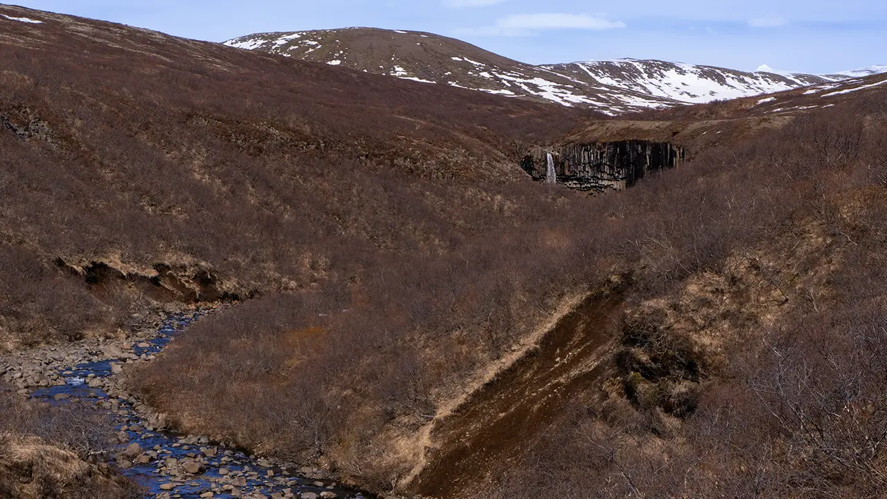 Svartifoss