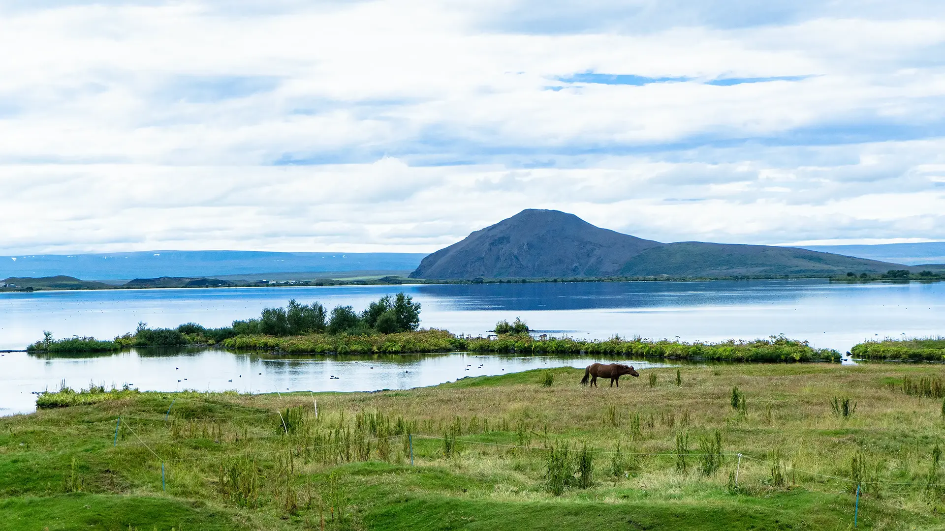 Mývatn