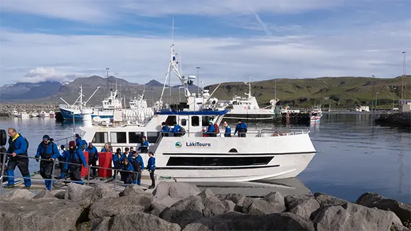 Whale Watching Tour Boat