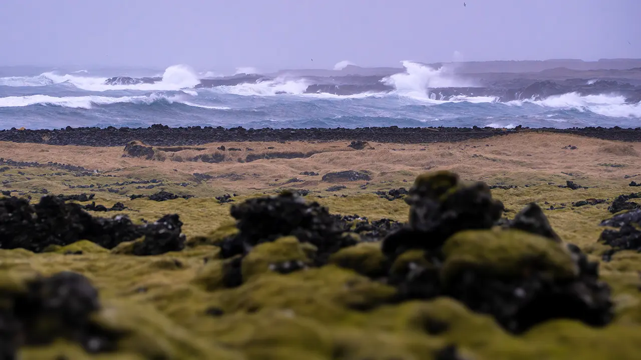 Coast of Reykjanes