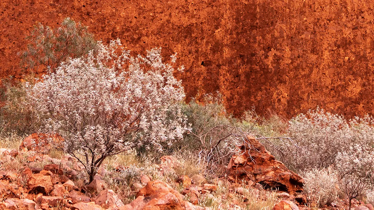 Kata Tjuta Valley of the Winds