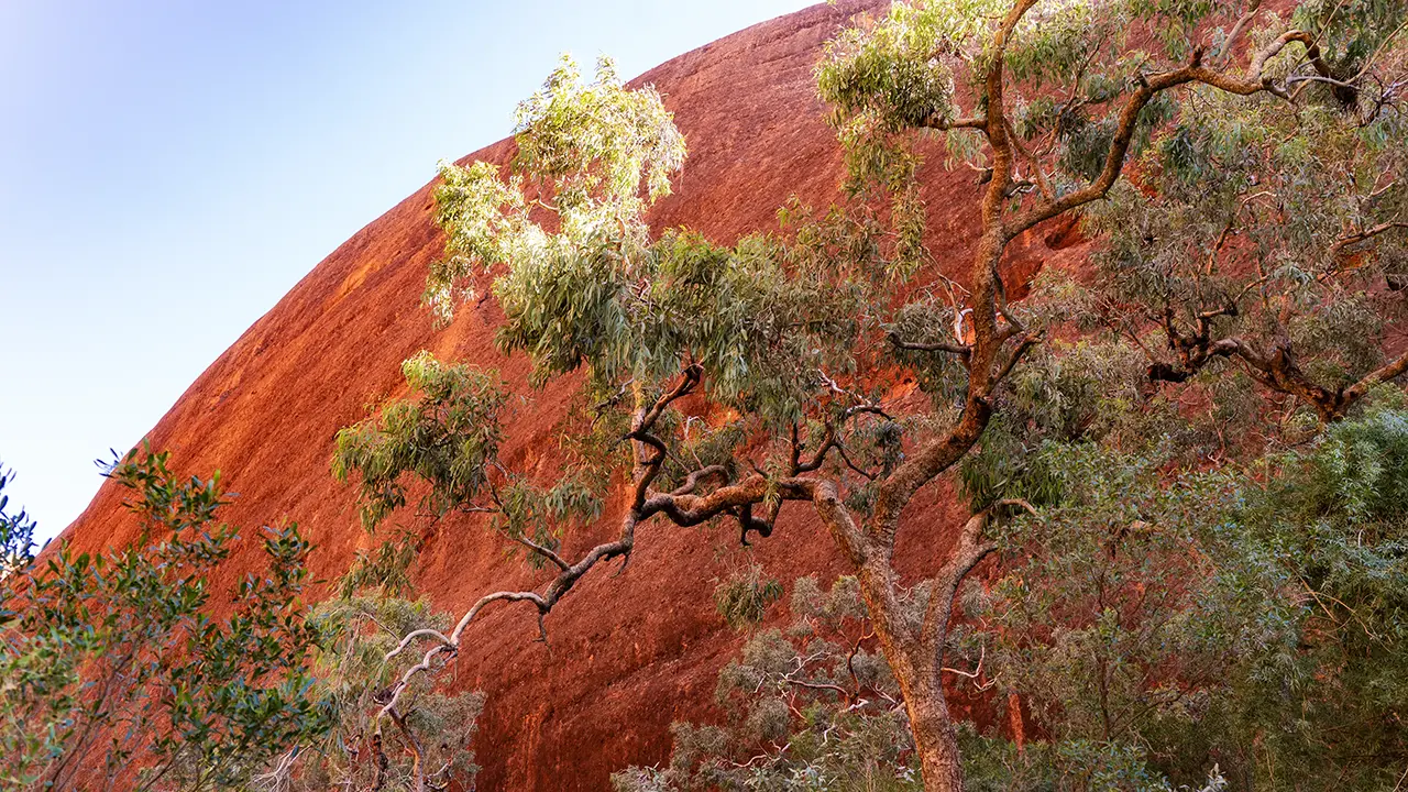 Kata Tjuta Valley of the Winds