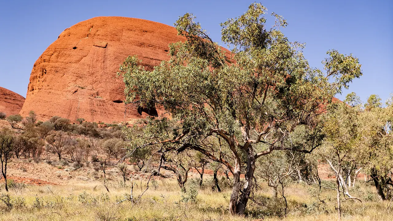 Kata Tjuta Valley of the Winds