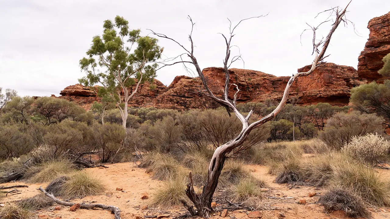 Kings Canyon